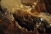 brčka v Gombaseckej